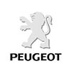 2009 Peugeot 1007 Dag
